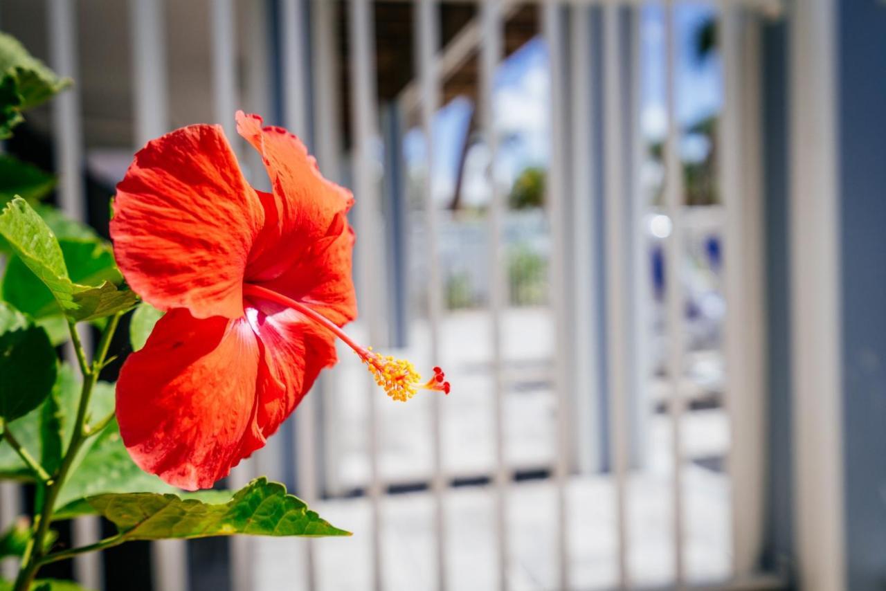 Welcome To Ostego Beach Vacation Rental - 253 Ostego Home Fort Myers Beach Exteriér fotografie